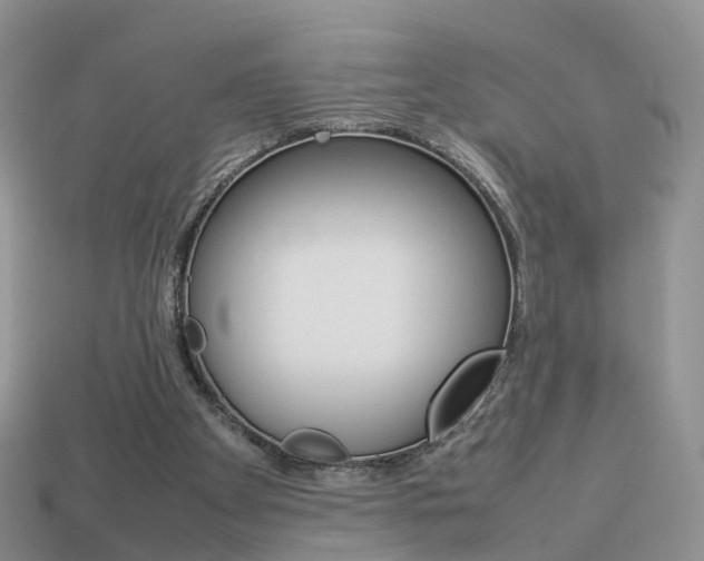 X0000114230105200910091337