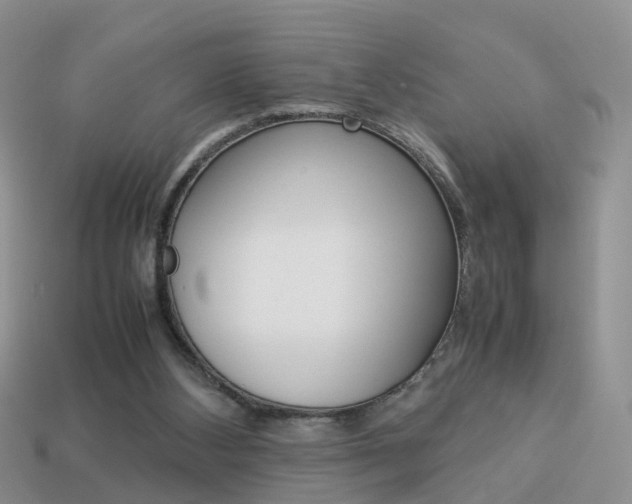 X0000114230108200910091337