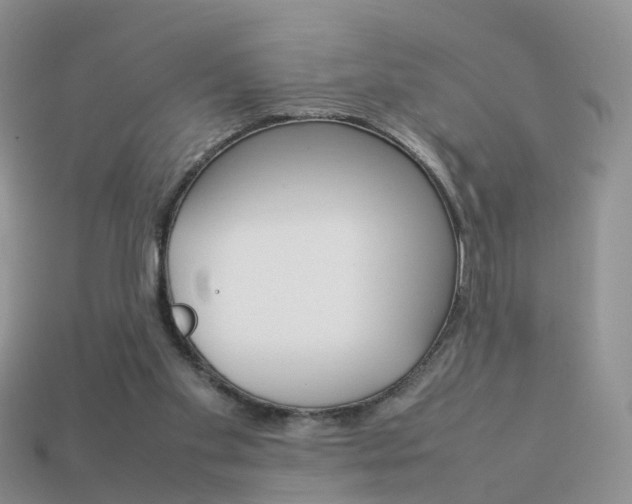 X0000114230109200910091337