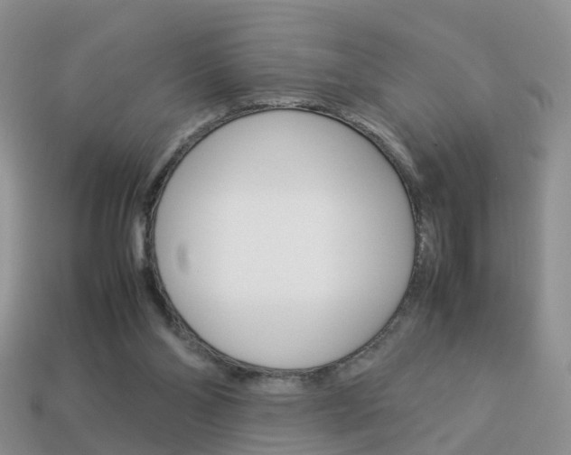 X0000114230110200910091337