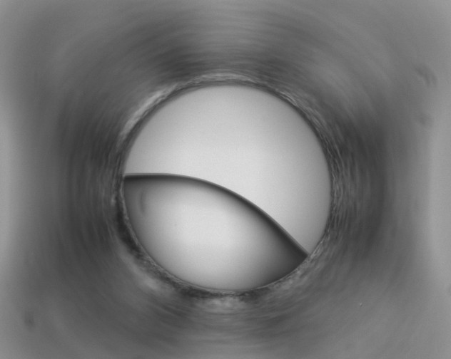 X0000114230112200910091336