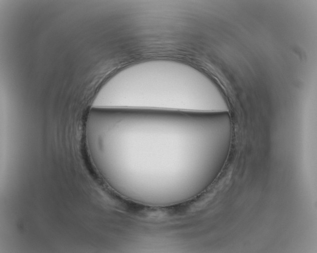 X0000114230113200910091336