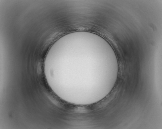 X0000114230114200910091336