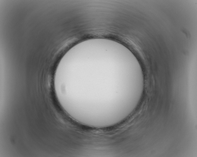 X0000114230115200910091336
