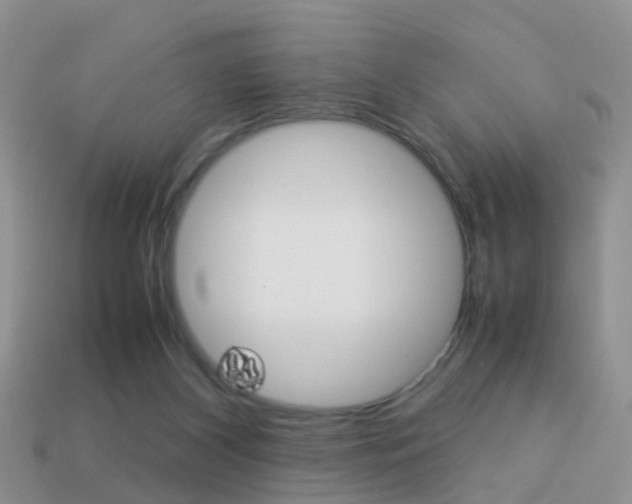X0000114230116200910091336
