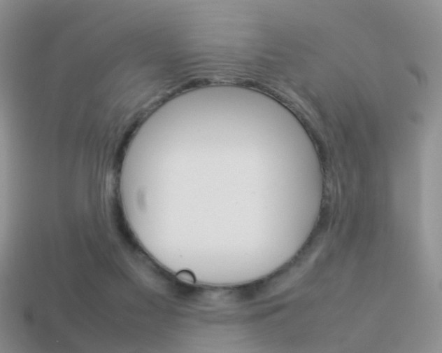 X0000114230117200910091336