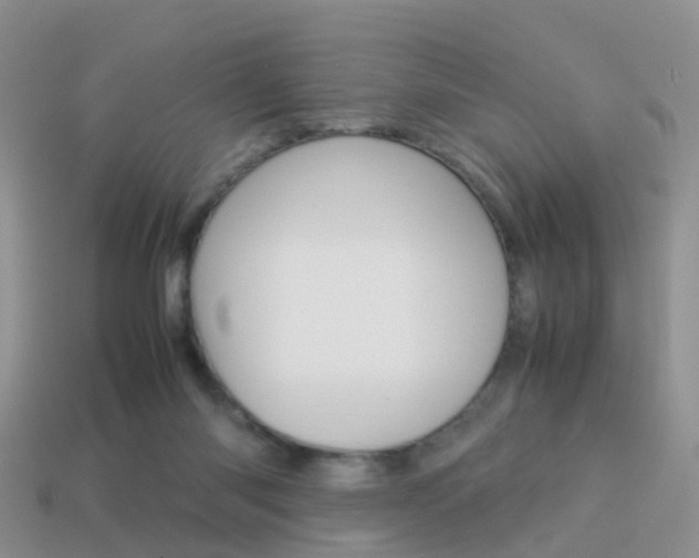 X0000114230118200910091336