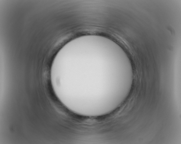 X0000114230119200910091336