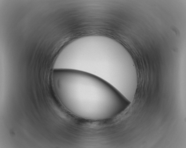X0000114230120200910091336