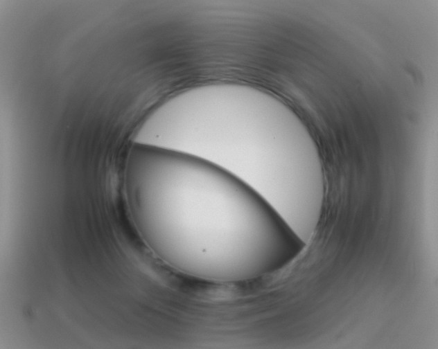 X0000114230124200910091336