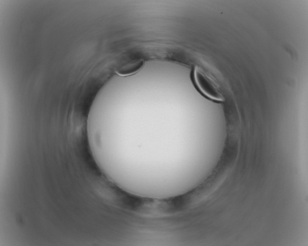 X0000114230125200910091336
