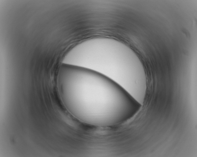 X0000114230128200910091336