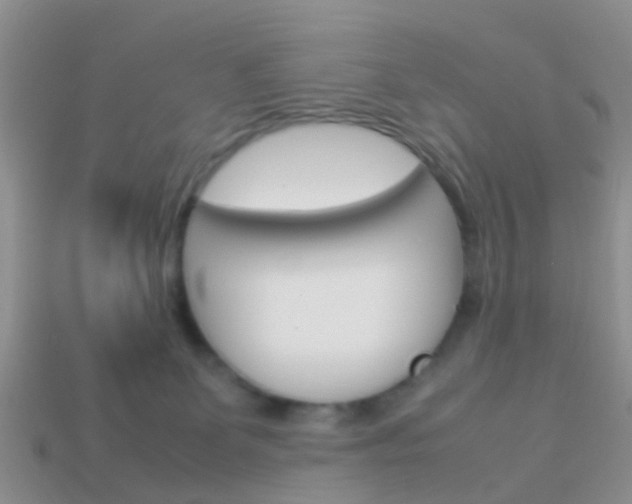 X0000114230131200910091336