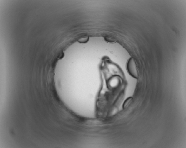 X0000114230133200910091336