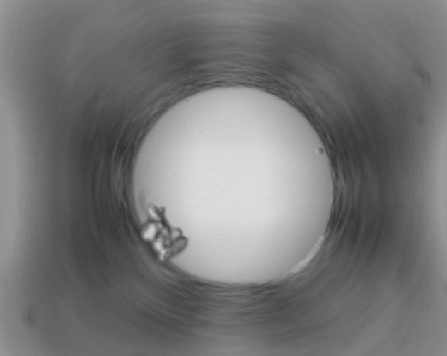 X0000114230136200910091336