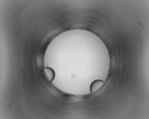 X0000114230138200910091336