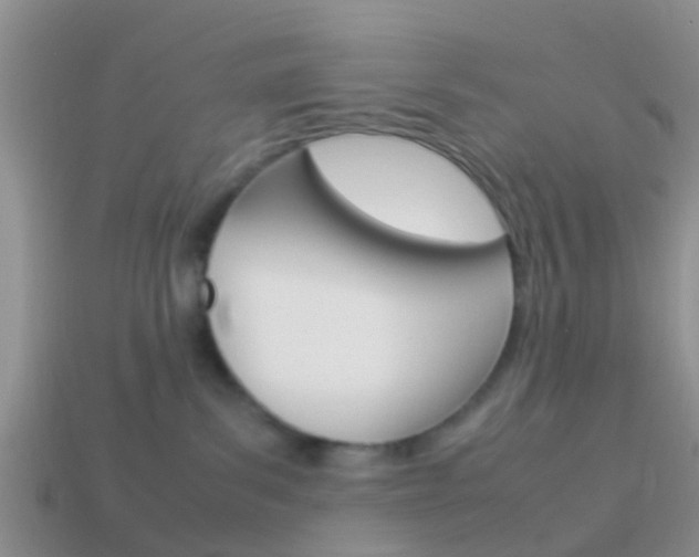 X0000114230139200910091336