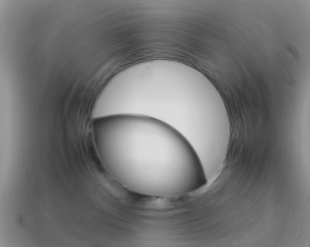 X0000114230140200910091336