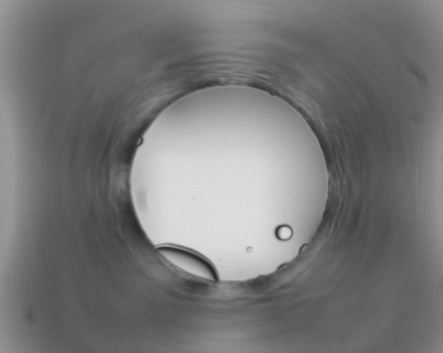 X0000114230141200910091336
