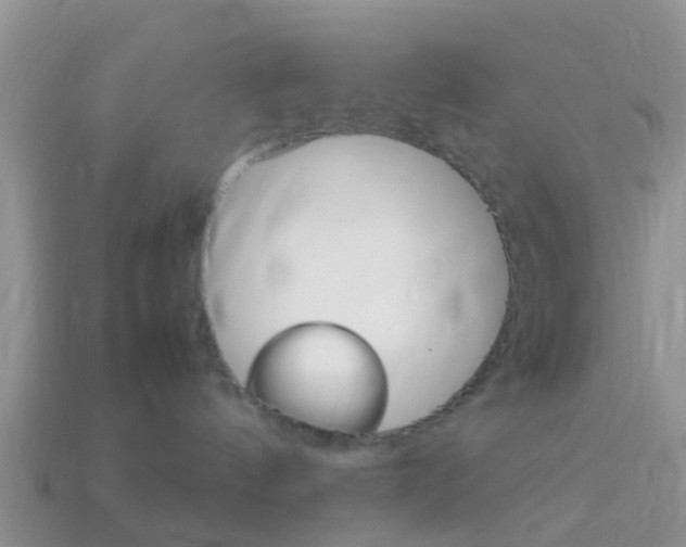 X0000114230144200910091336