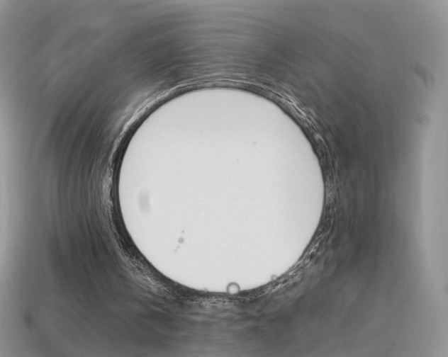 X0000114230146200910091335