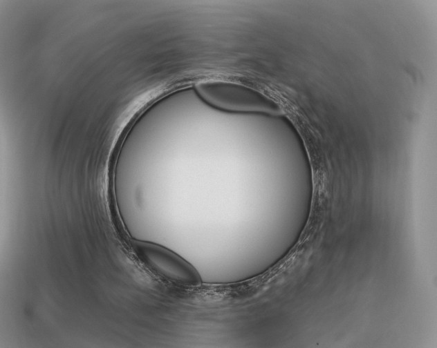 X0000114230148200910091335