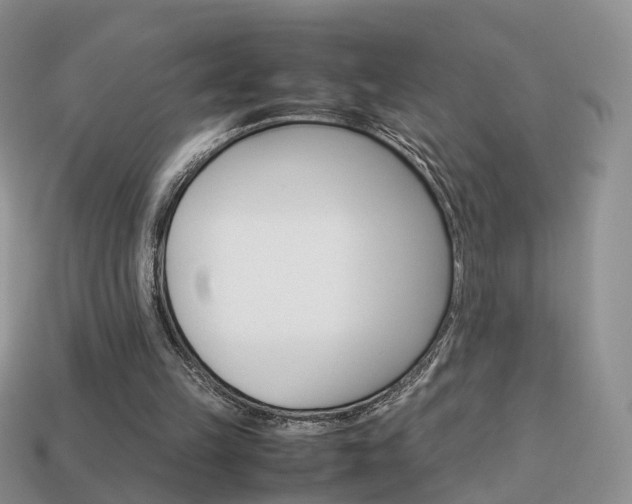 X0000114230149200910091336