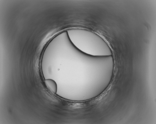 X0000114230151200910091336