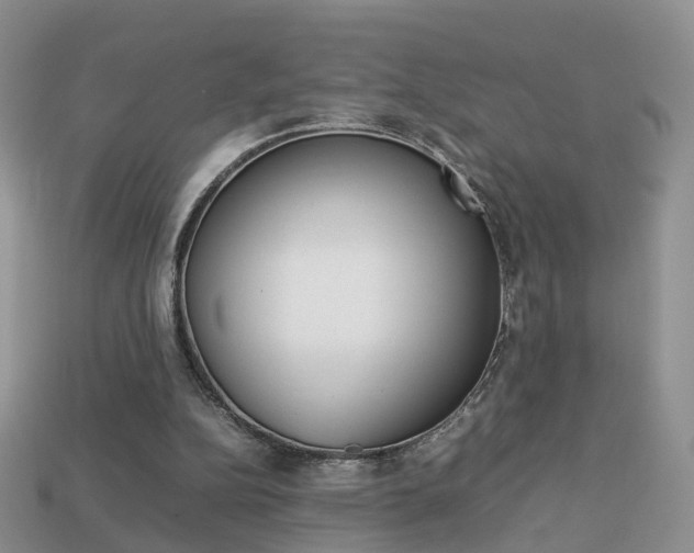 X0000114230152200910091336