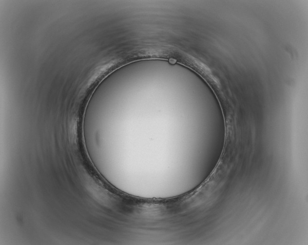 X0000114230154200910091336