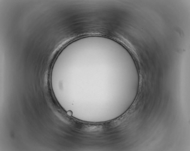 X0000114230155200910091336