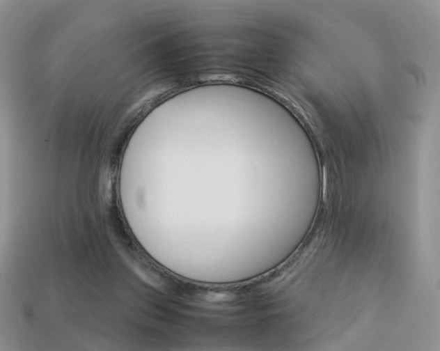 X0000114230157200910091336