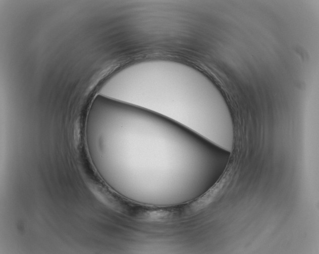 X0000114230158200910091336