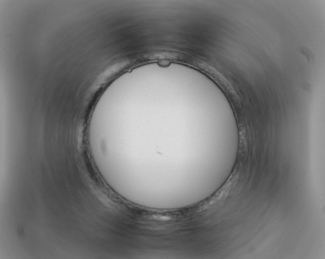 X0000114230159200910091336