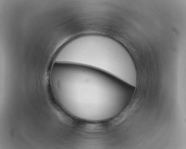 X0000114230160200910091336