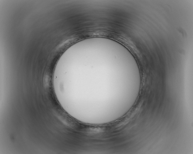 X0000114230161200910091336