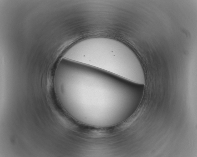 X0000114230164200910091336