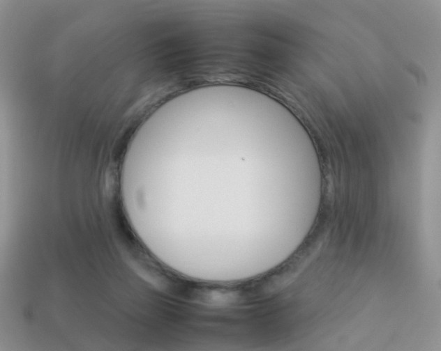 X0000114230165200910091336