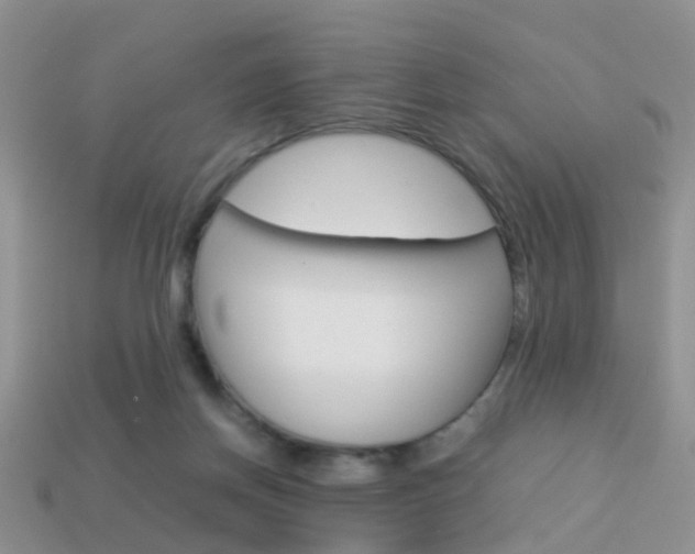 X0000114230166200910091336