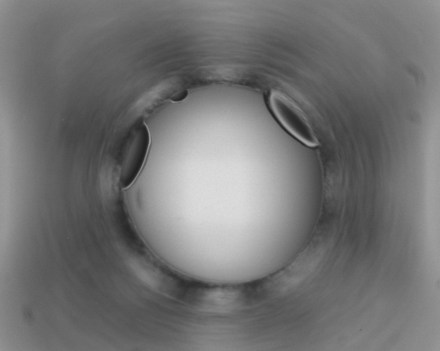 X0000114230168200910091336