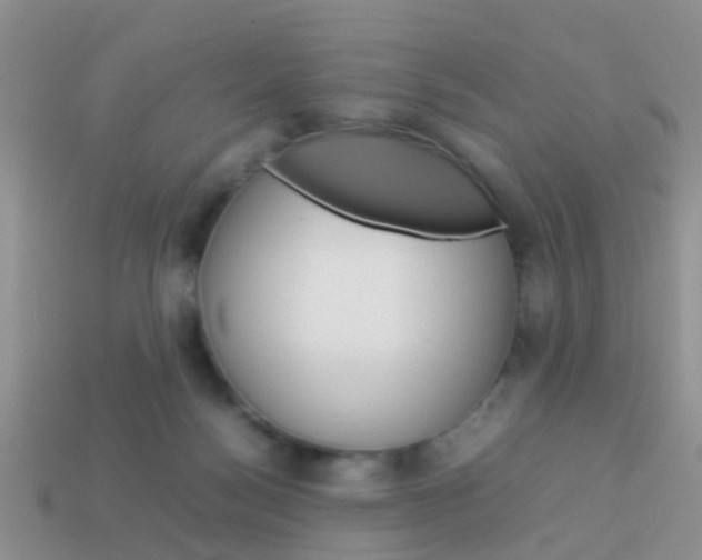 X0000114230172200910091336