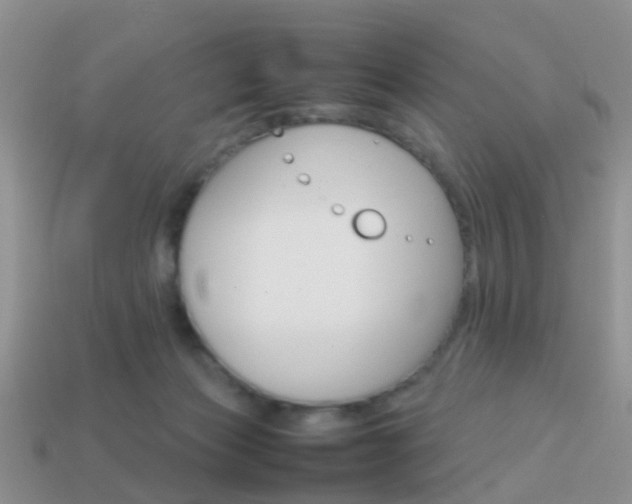 X0000114230173200910091336
