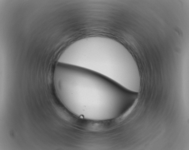 X0000114230174200910091336