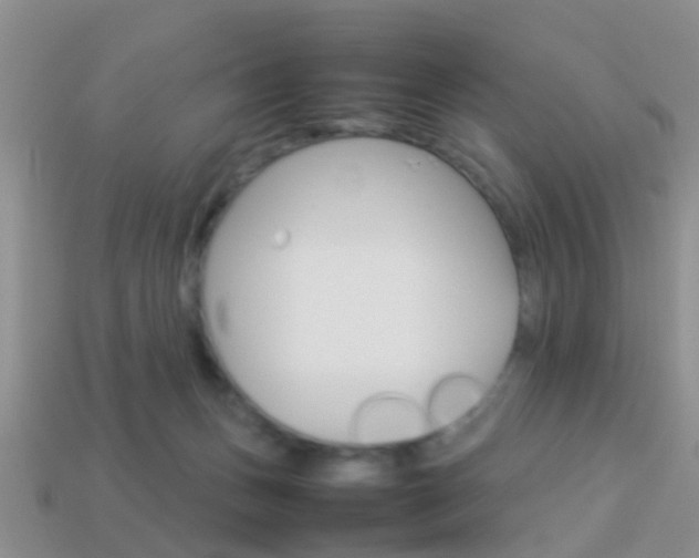 X0000114230175200910091336