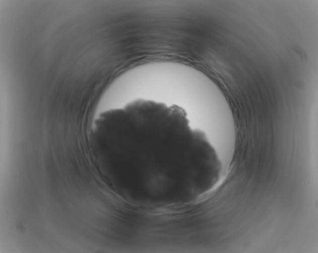 X0000114230179200910091336