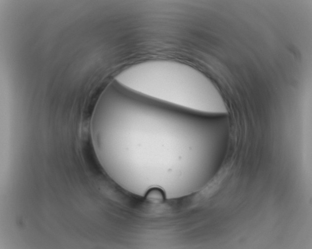 X0000114230180200910091336