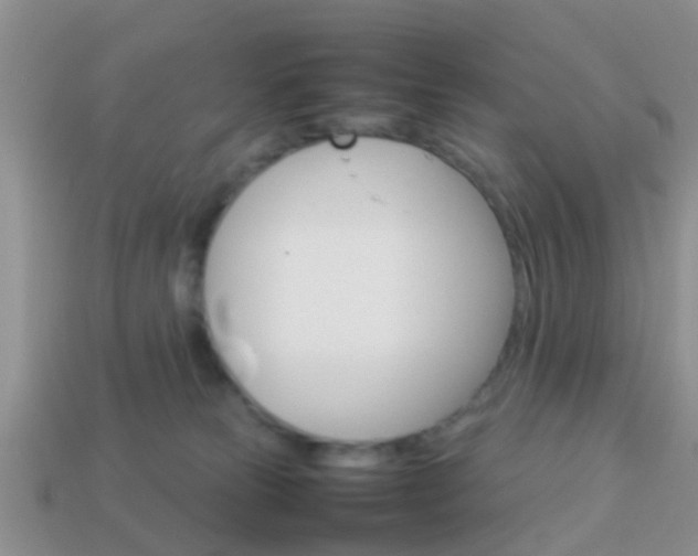 X0000114230181200910091336