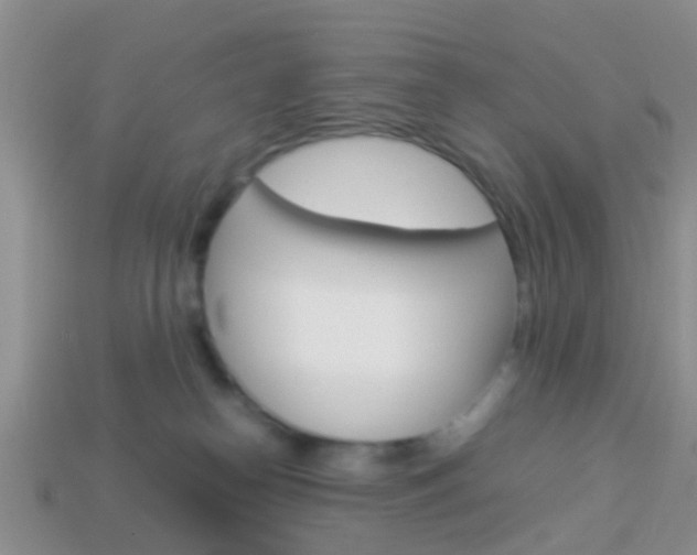 X0000114230182200910091336