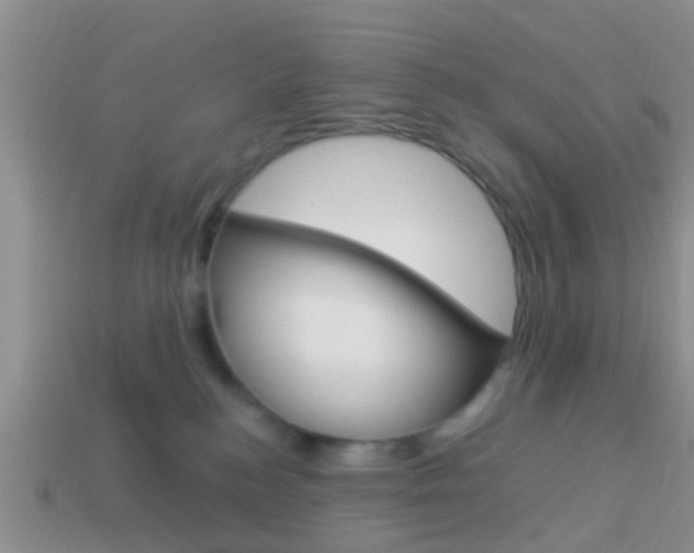 X0000114230184200910091336
