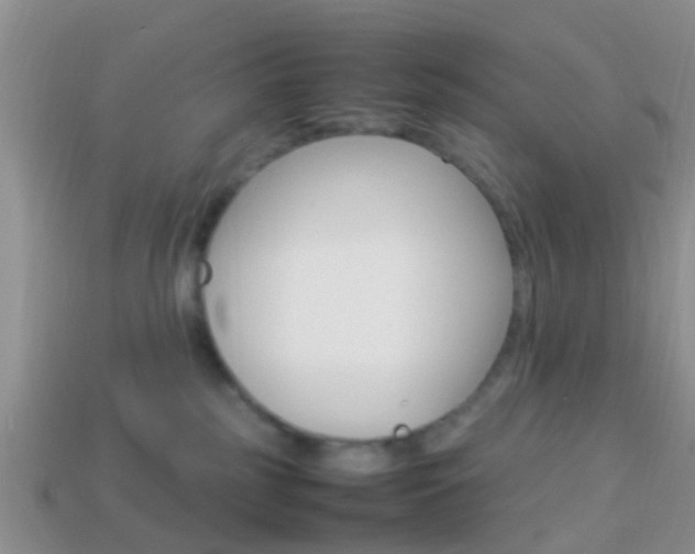 X0000114230185200910091336